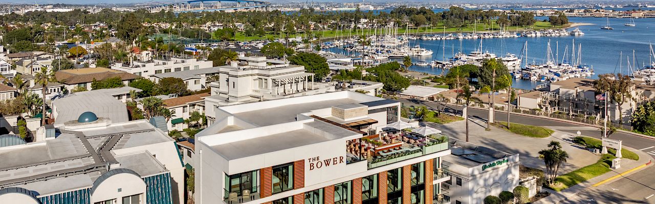Urban area with modern buildings, palm trees, and a marina with boats near the waterfront under a clear blue sky.