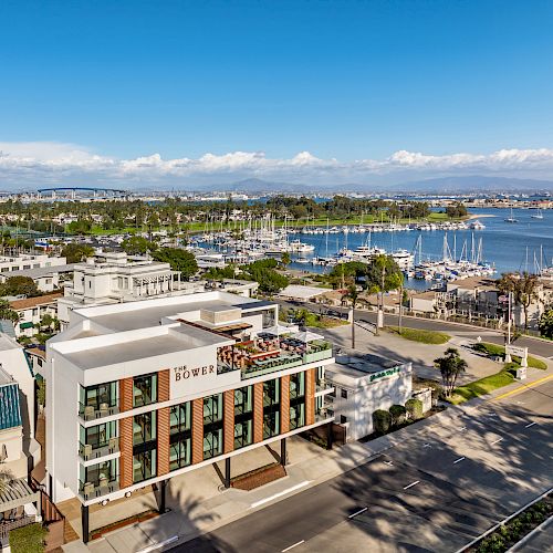 Urban area with modern buildings, palm trees, and a marina with boats near the waterfront under a clear blue sky.