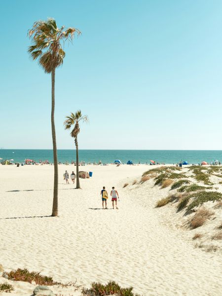 A sunny beach scene with tall palm trees, a few people walking on the sandy shore, and the ocean in the background under a clear sky.