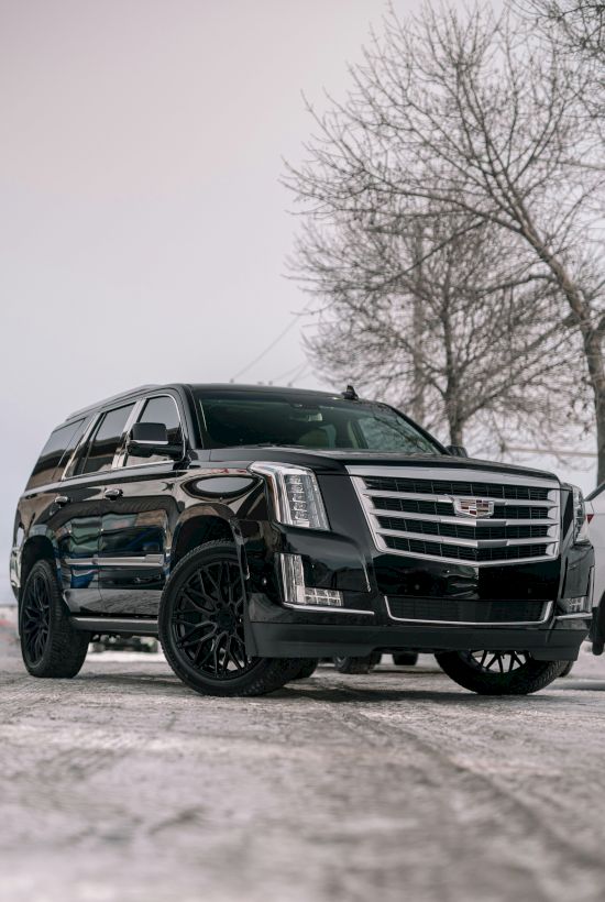 A black SUV is parked on a snowy road, with bare trees in the background under an overcast sky.