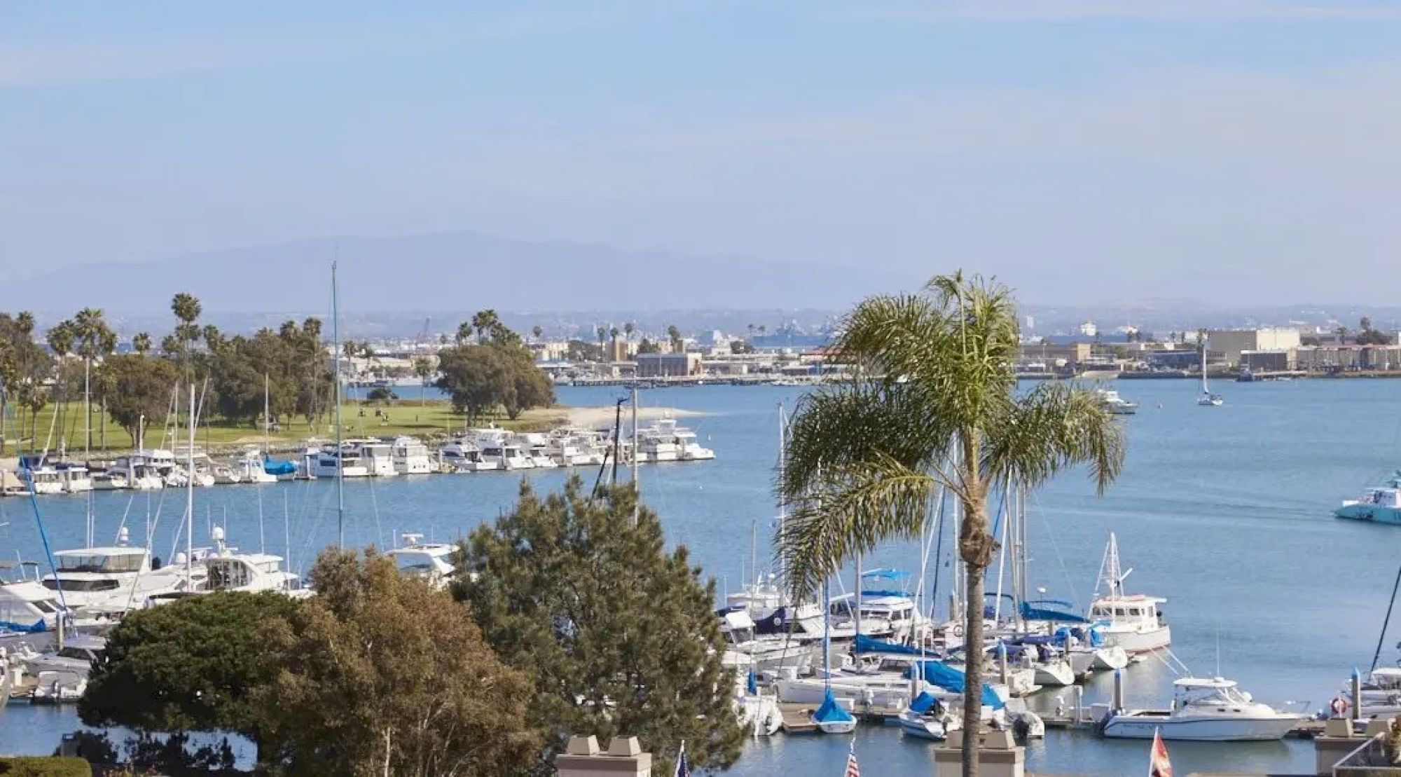 A marina with boats, palm trees, and a calm blue body of water; distant cityscape and mountains under a clear sky.