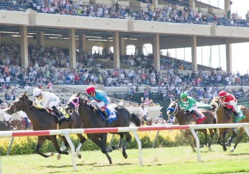 Jockeys in colorful silks race on horses past the red-and-white rail as a packed stadium cheers.