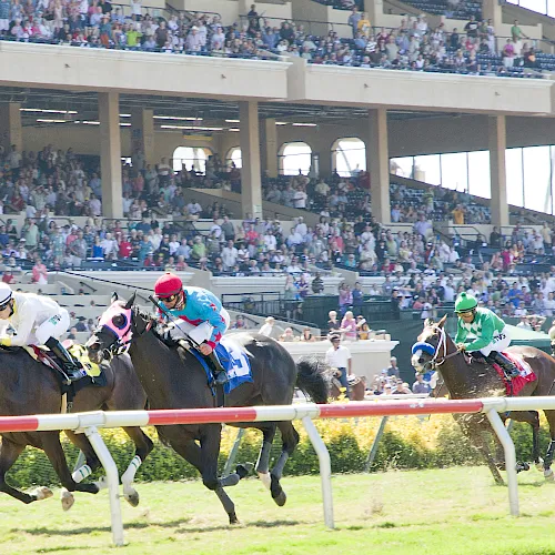 Jockeys in colorful silks race on horses past the red-and-white rail as a packed stadium cheers.