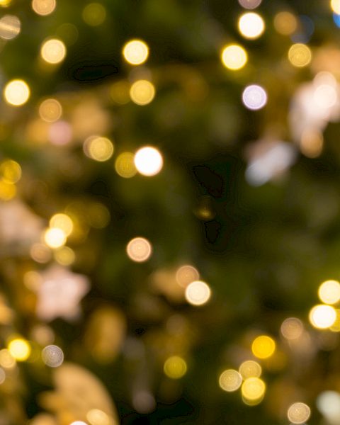 A dreamy, out-of-focus night scene with warm golden bokeh lights and greenery in the background, like festive holiday lights.