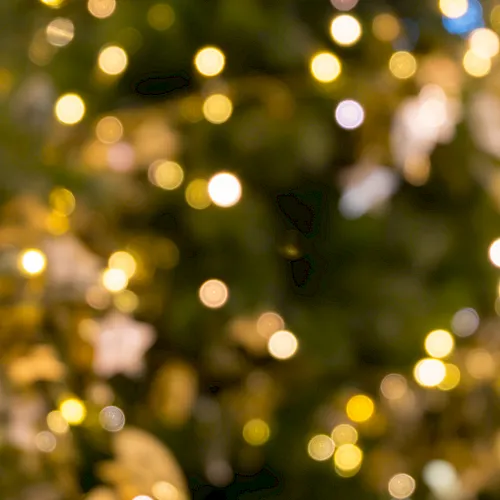 A dreamy, out-of-focus night scene with warm golden bokeh lights and greenery in the background, like festive holiday lights.