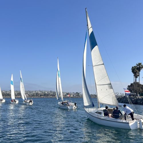 A fleet of sailboats glides across the water under a clear blue sky, with palm trees and a distant shoreline in view.