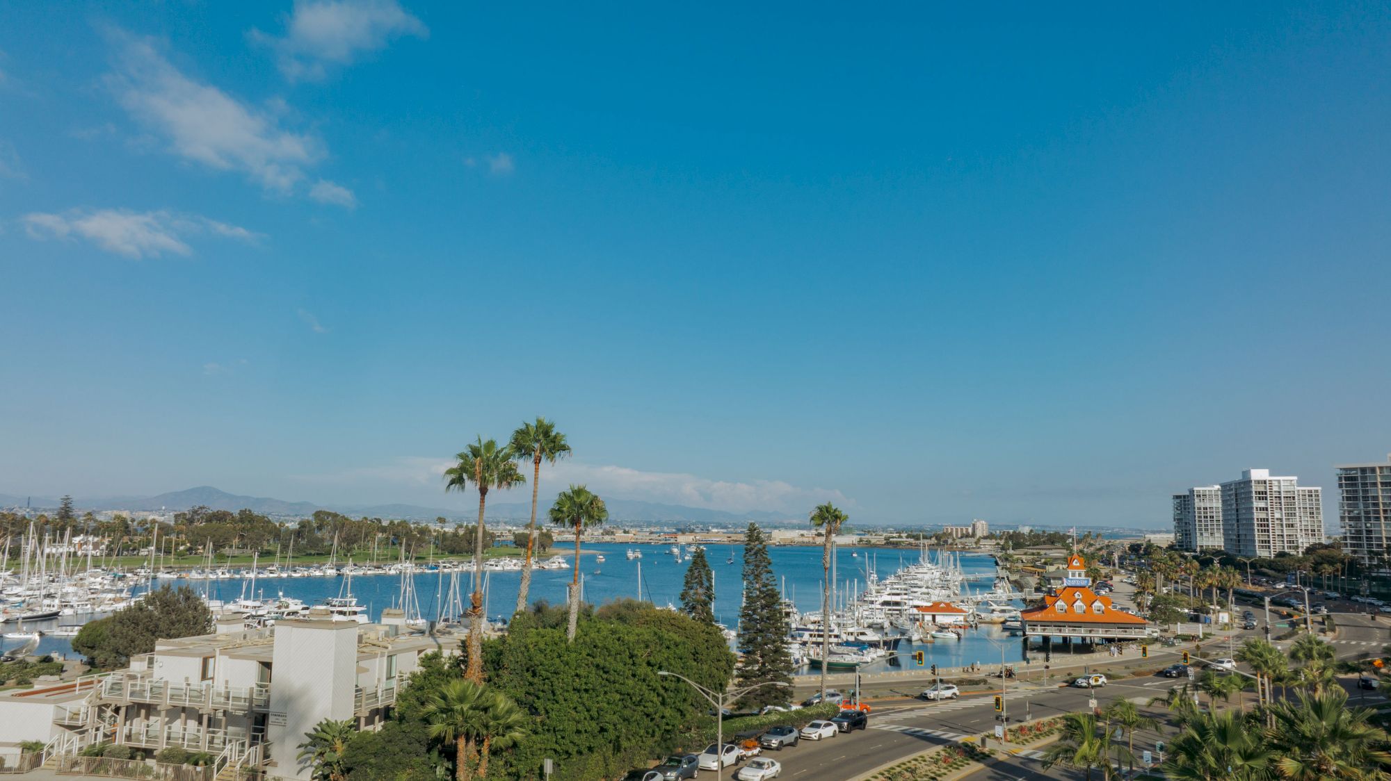 A sunny coastal marina packed with sailboats, palm trees, and tall buildings along a blue harbor under a clear sky.